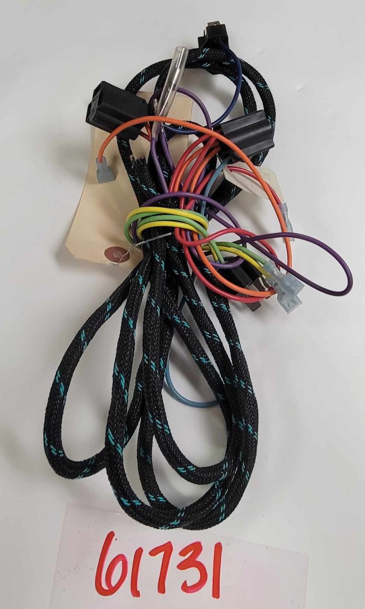 61731 WESTERN PLUG-IN HARNESS 2B/2D -C